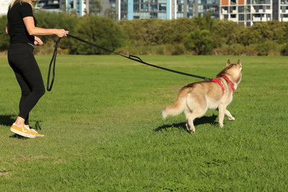 CLAWCARE™ — WATERPROOF TRAINING LEASH
