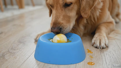 Canine CalmBowl™ — Bol Lécheur Anti-Stress Interactif pour Chien
