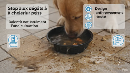 Canine CalmBowl™ — Bol Lécheur Anti-Stress Interactif pour Chien